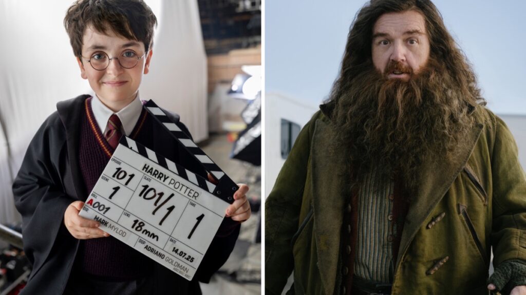 Cast of the Harry Potter television series